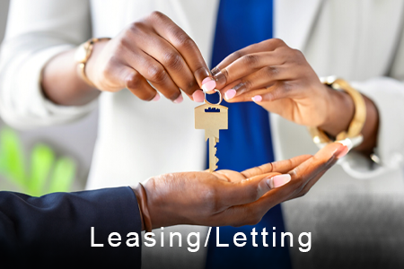 Leasing / Letting